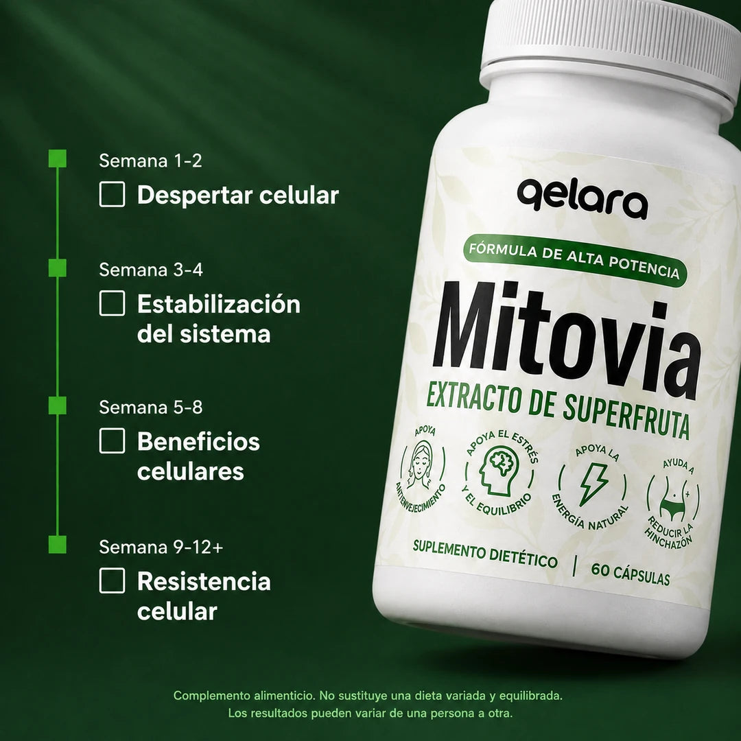 Mitovia